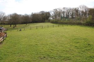 Photo 3- click for photo gallery